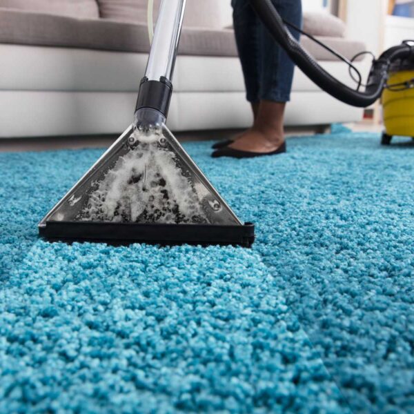 Why Professional Carpet Cleaning Services Are Necessary for Cleanliness